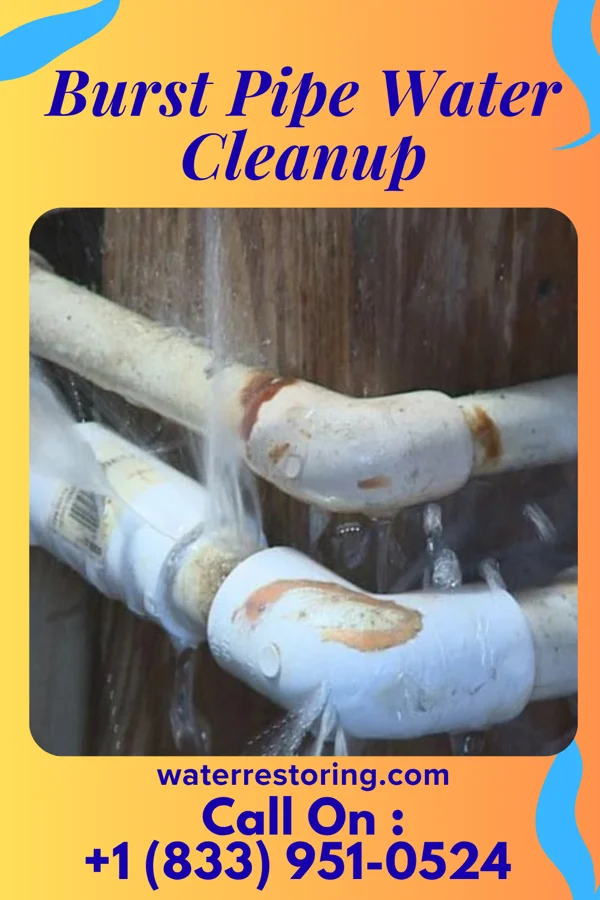 Burst Pipe Water Cleanup in Barrington, IL