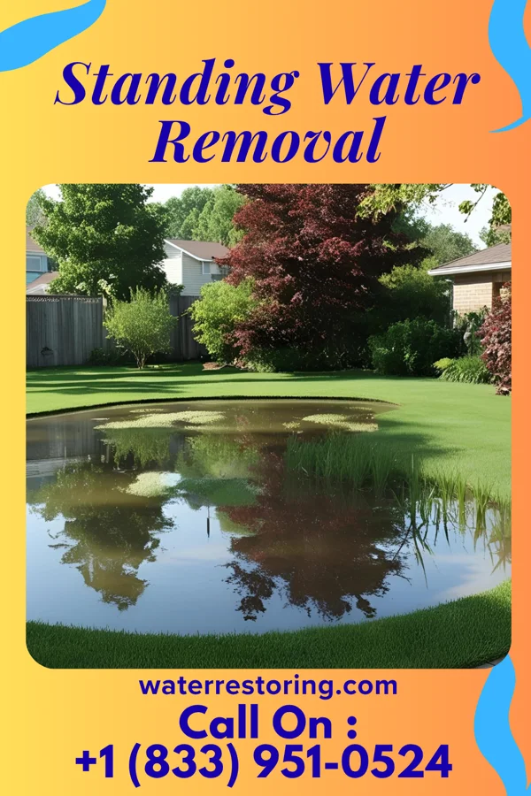Standing Water Removal in Barrington, IL
